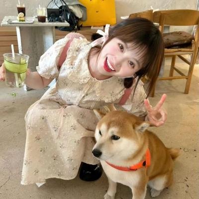 宝马狂想曲