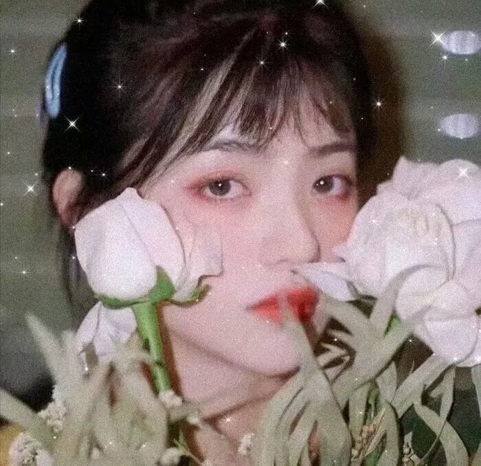 女狼俱乐部